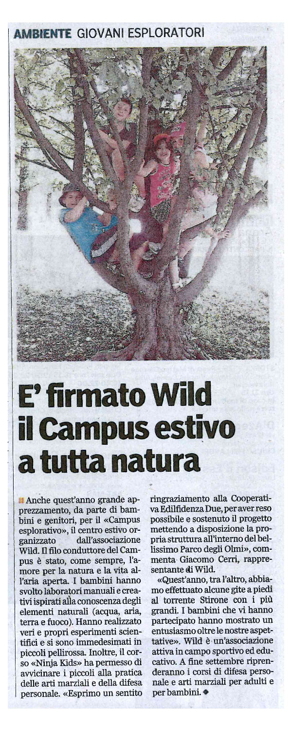 Immagine2